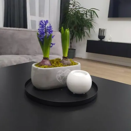 A&n Apartament Košalín
