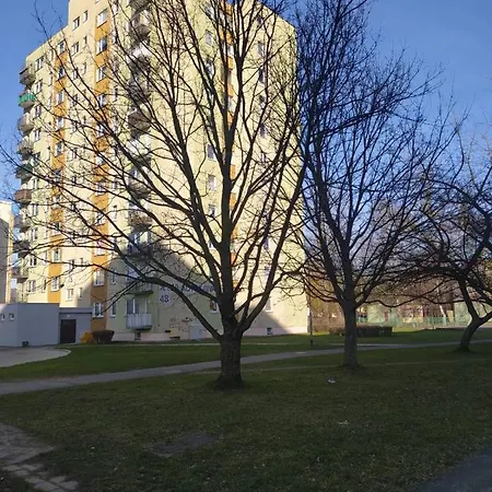 A&n Apartament